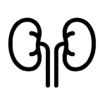 nadnercza
