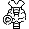 przytarczyce